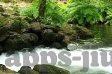 上海和天海足球比分-上海德比与天海旧事，足球比分背后的激情与回忆